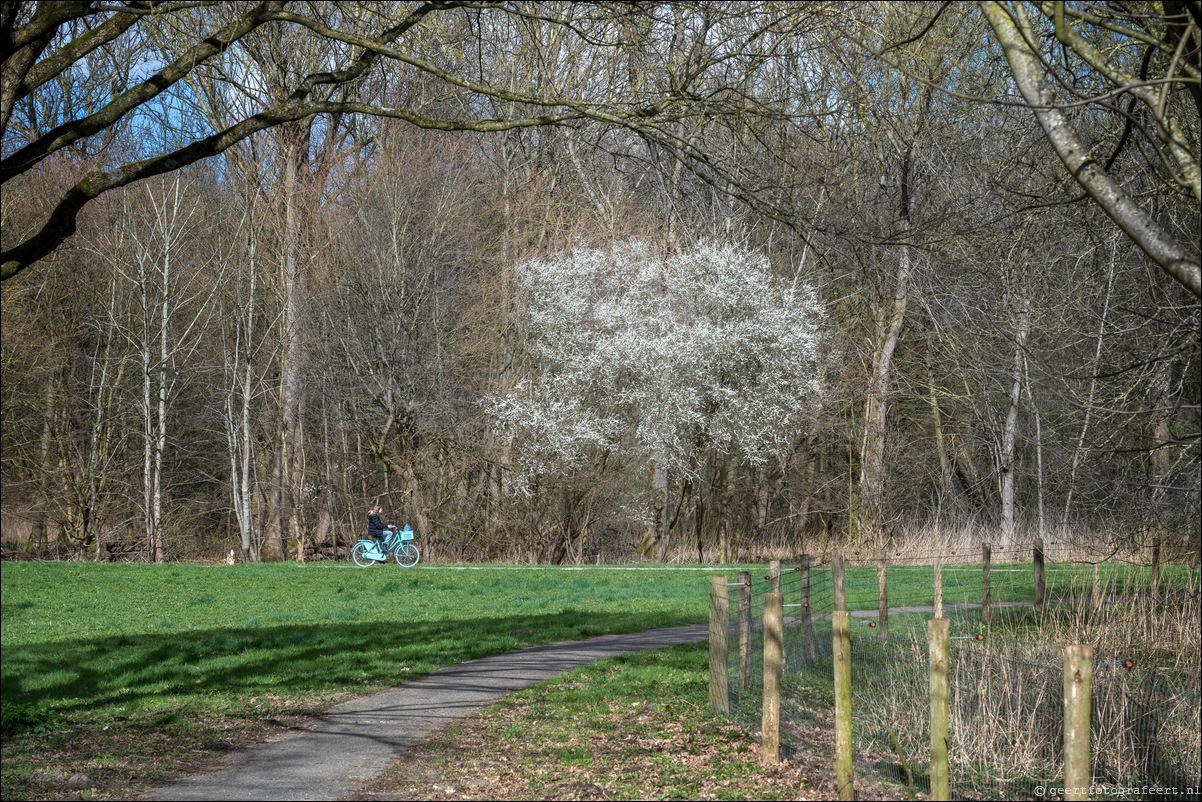 Bussumerheide en de Westerheide