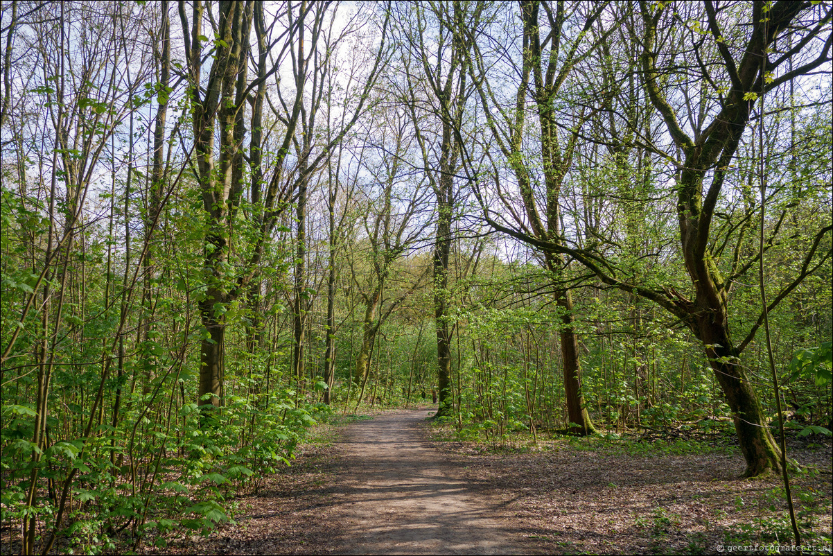 Bussumerheide en de Westerheide