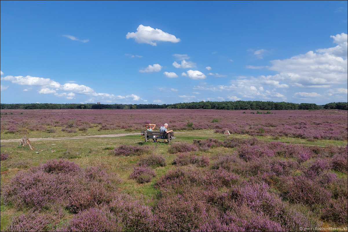 Bussumerheide en de Westerheide