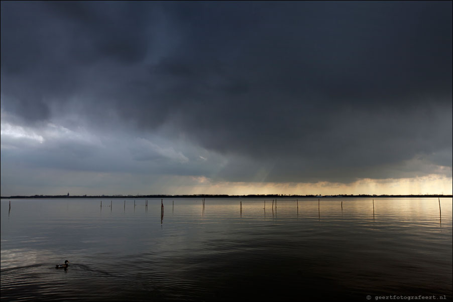 gooimeer