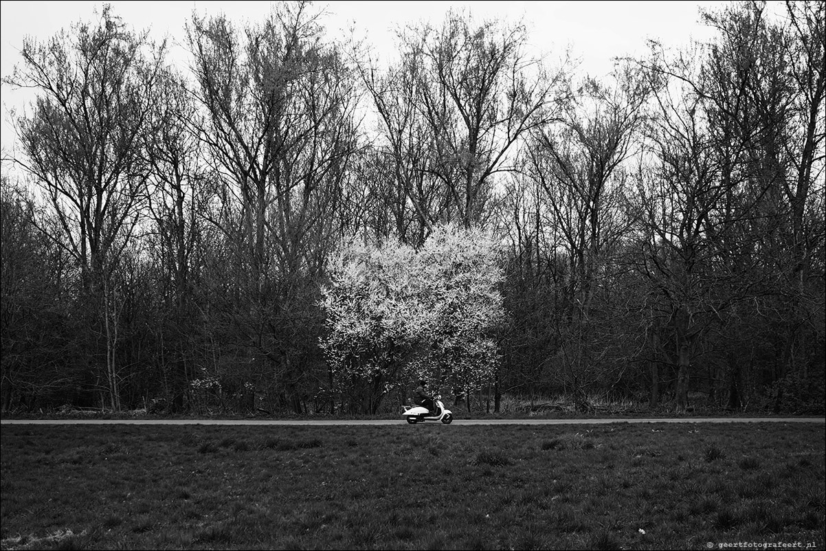 witte hoed