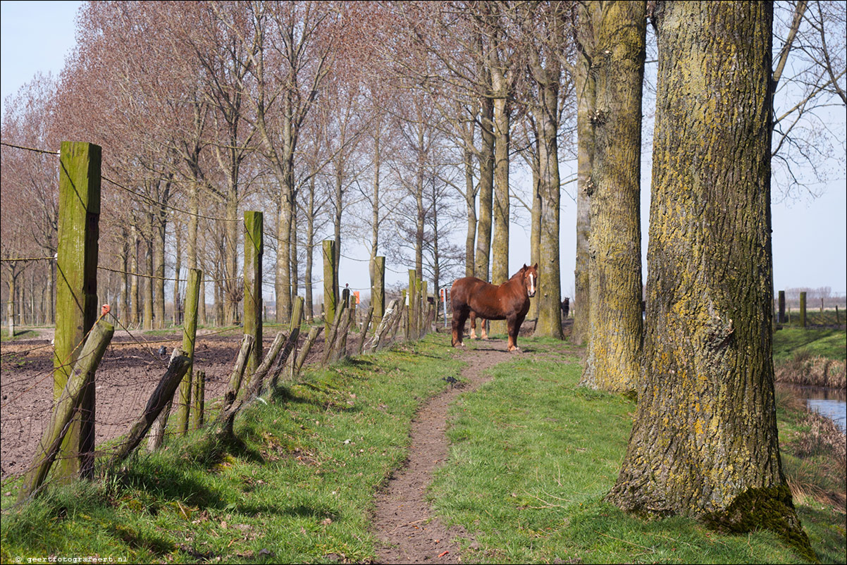 Grenspad: Waterland-Oudeman naar Sluis, Zeeland, Zweeuws Vlaanderen