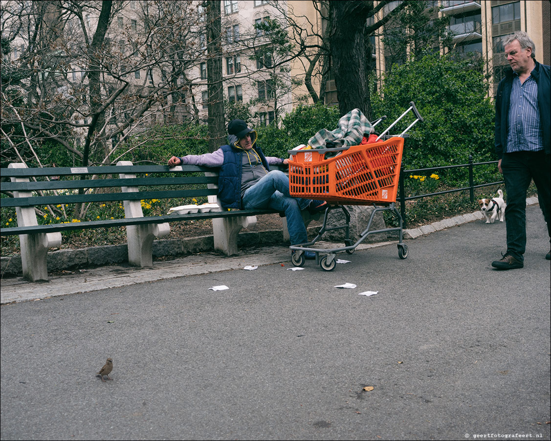 Streets New York City