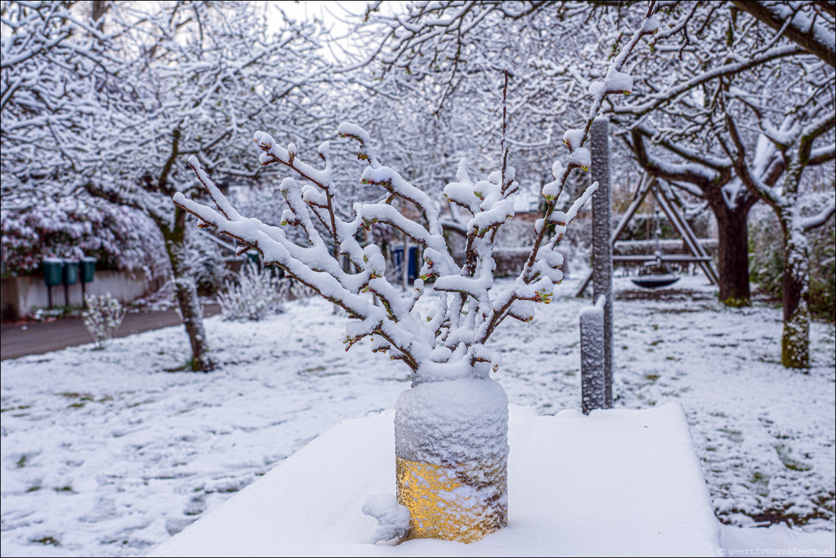 Lente Winter Almere