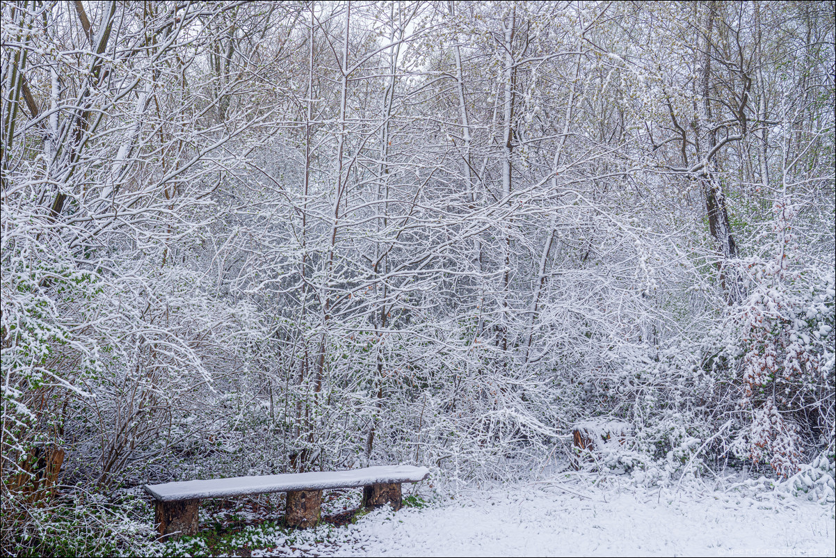 Lente Winter Almere