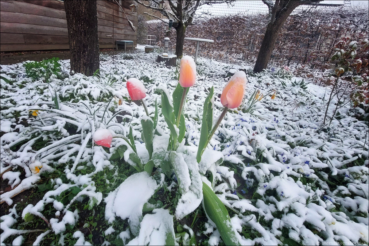 Lente Winter Almere