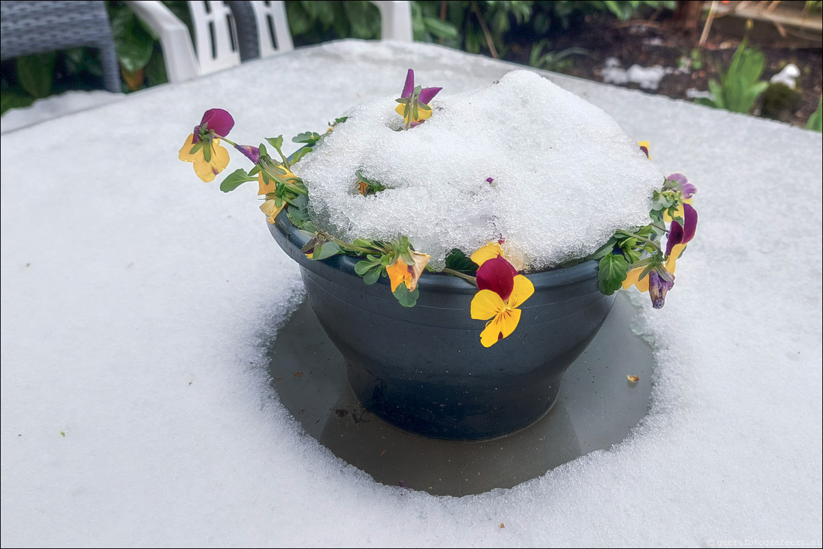 Lente Winter Almere