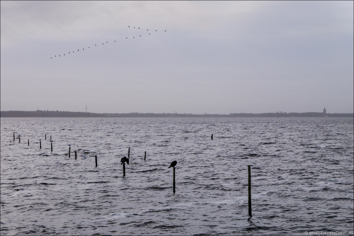 Gooimeer