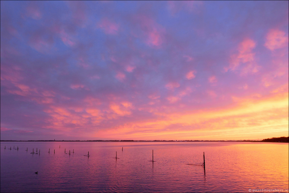 Gooimeer