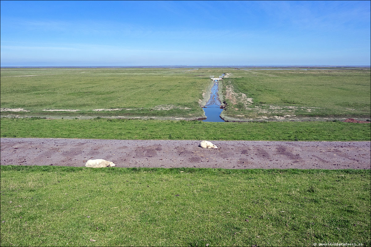 kustpad: lauwersoog - pieterburen - roodeschool