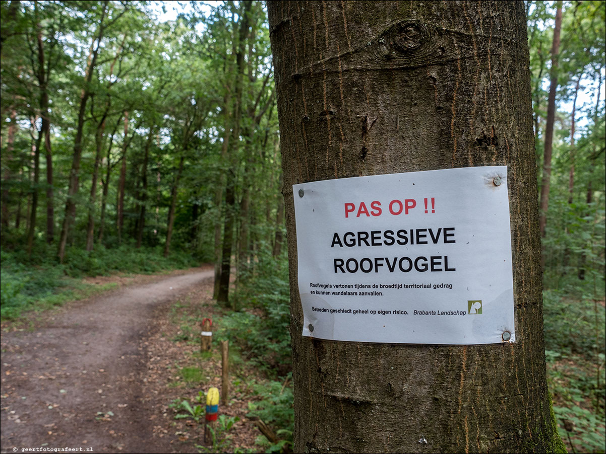 grenslandpad: esbeek - alpehn - chaam