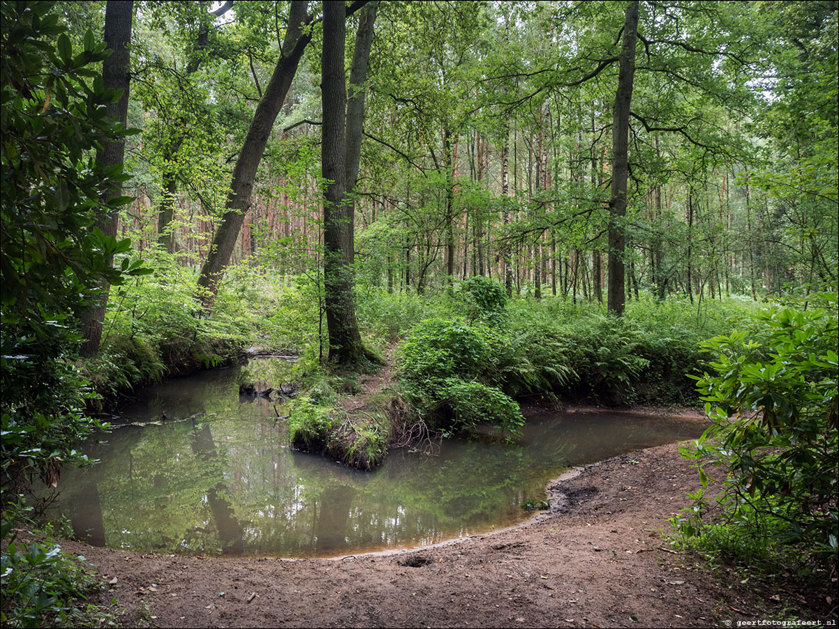 grenslandpad: esbeek - alpehn - chaam