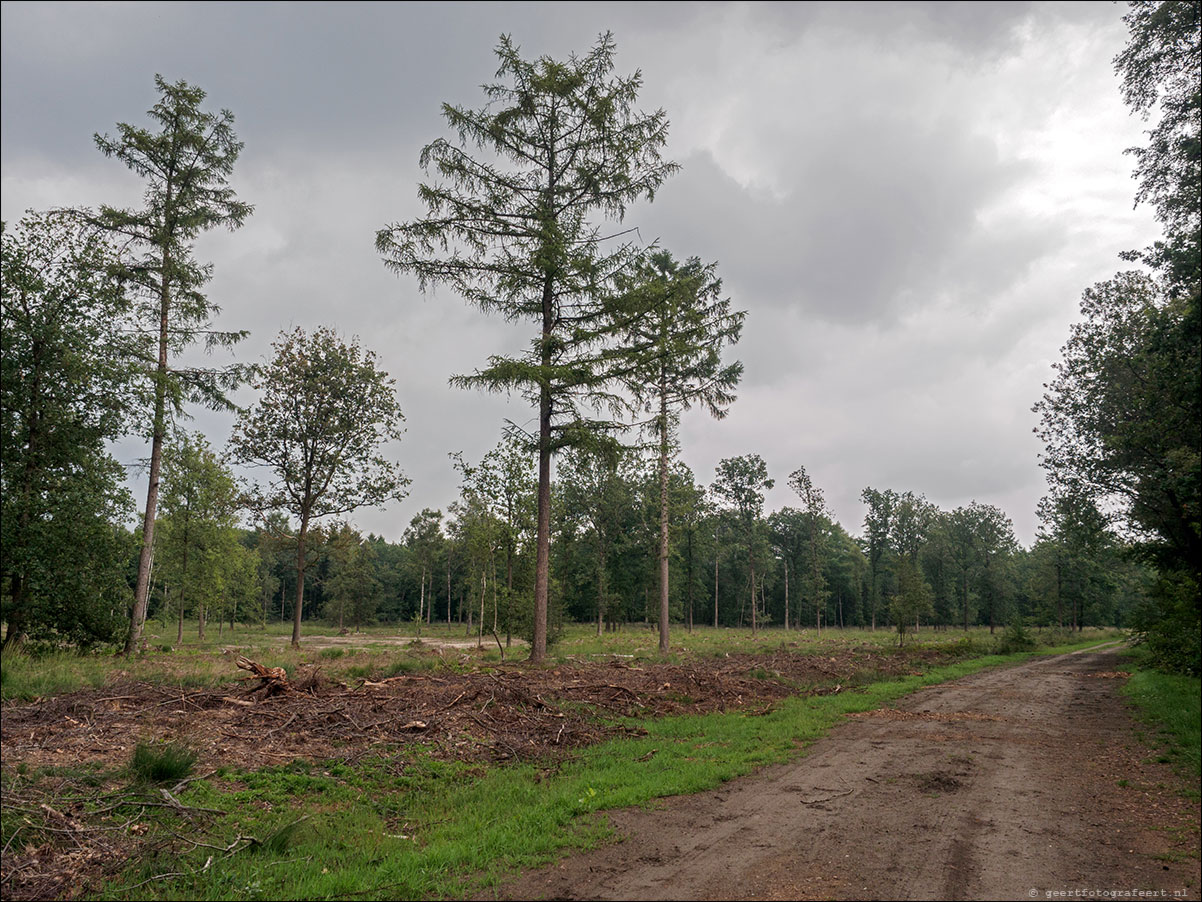 grenslandpad: esbeek - alpehn - chaam