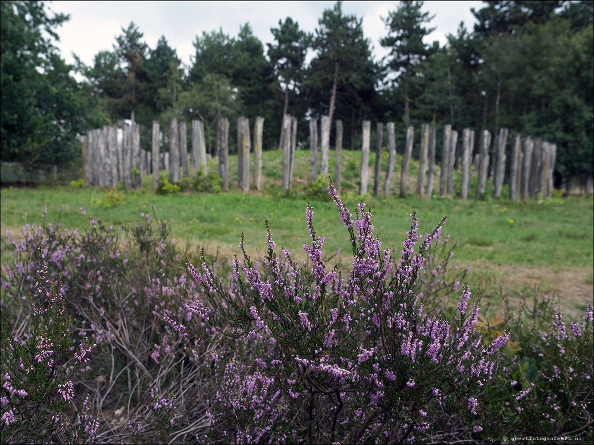 grenslandpad: esbeek - alpehn - chaam