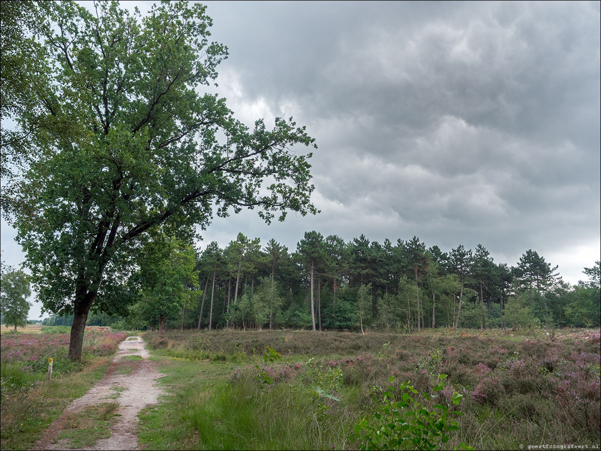 grenslandpad: esbeek - alpehn - chaam