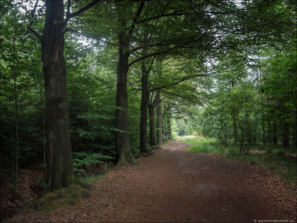 grenslandpad: esbeek - alpehn - chaam