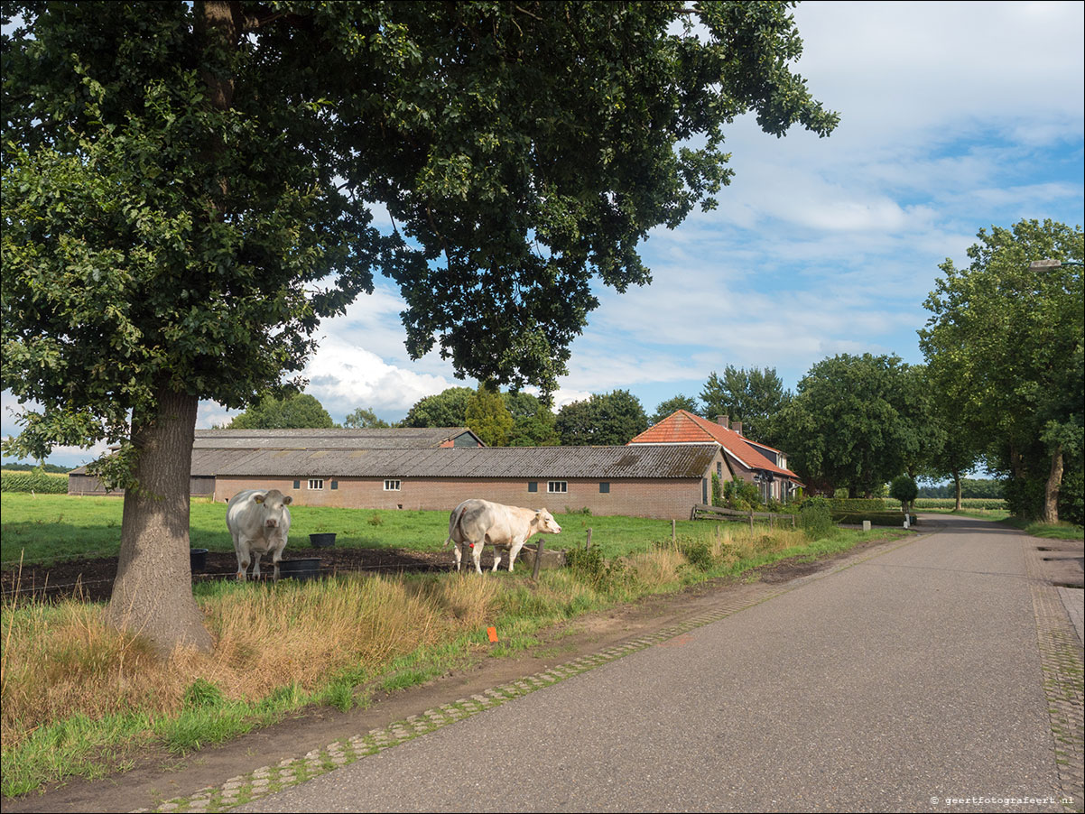 grenslandpad: esbeek - alpehn - chaam