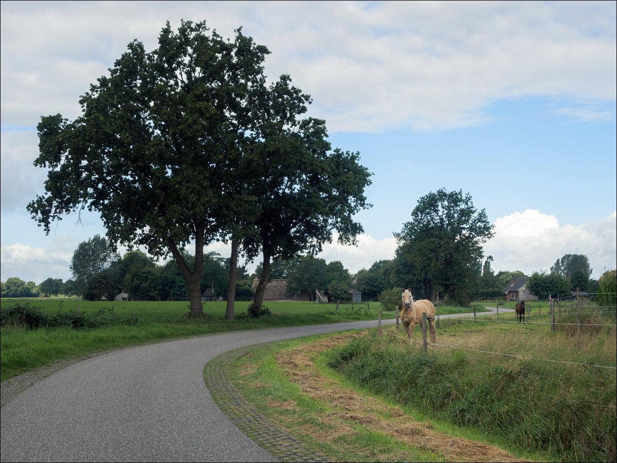 Chaam - Zundert, langs de rand van Nederland