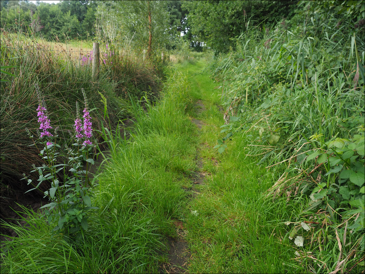 Chaam - Zundert, langs de rand van Nederland