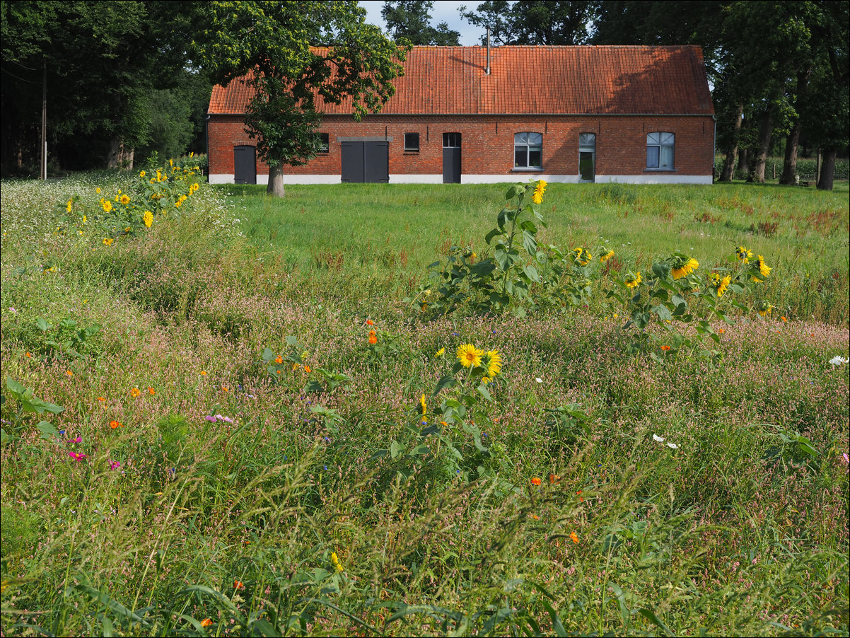 Zundert - Essen - Putte , langs de rand van Nederland