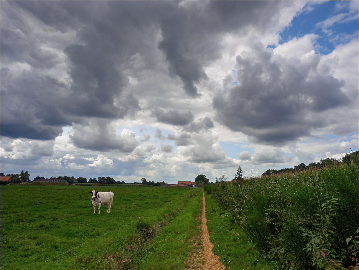 Zundert - Essen - Putte , langs de rand van Nederland
