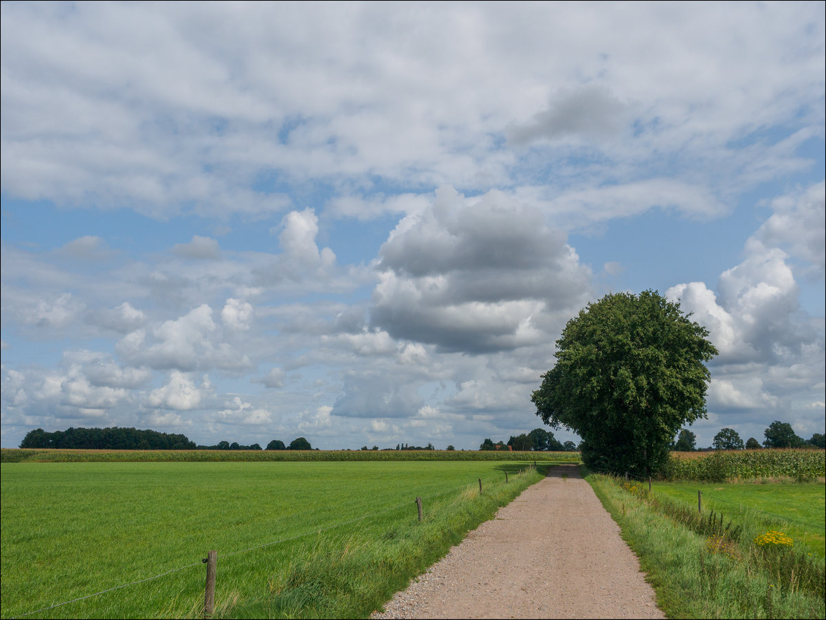 Zundert - Essen - Putte , langs de rand van Nederland