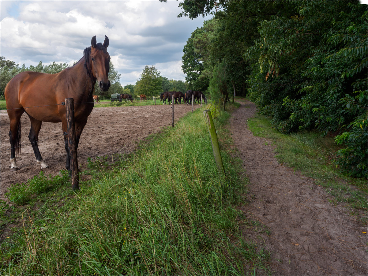 Zundert - Essen - Putte , langs de rand van Nederland
