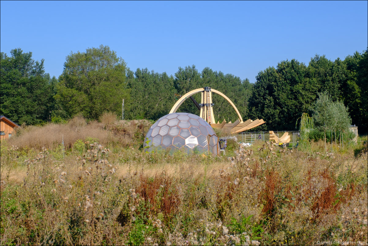 Groene Kathedraal