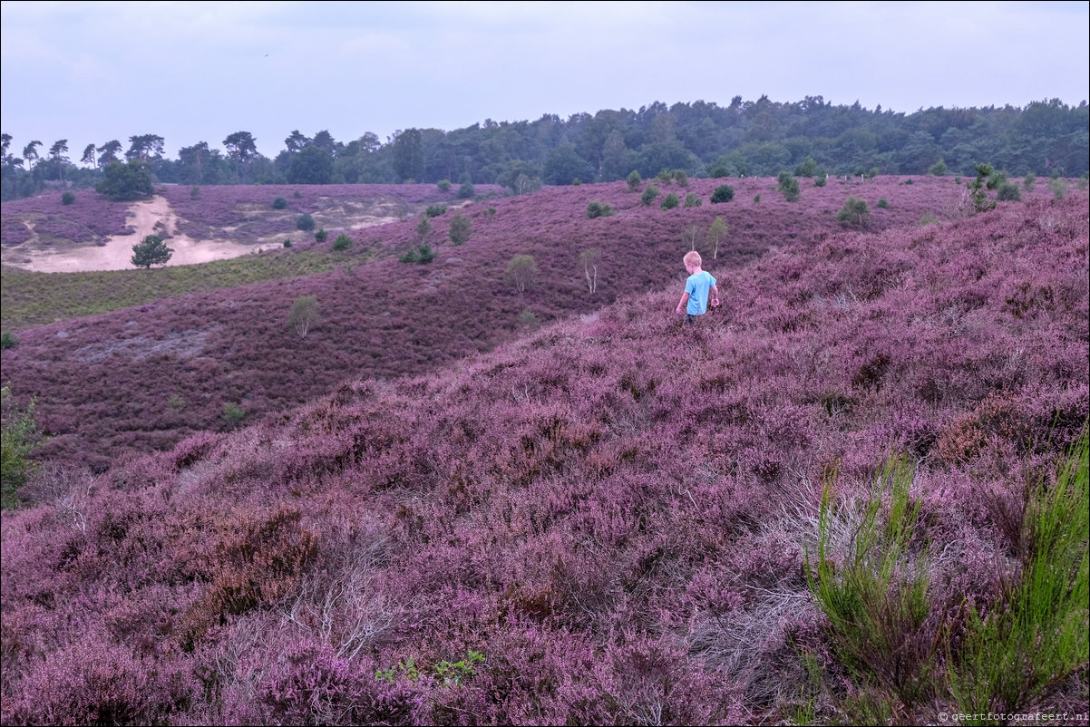 posbank heide