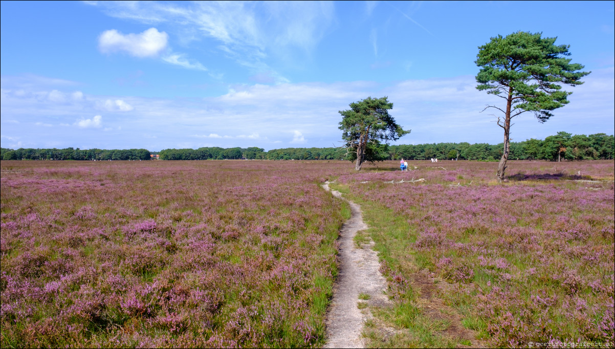 Bussumerheide