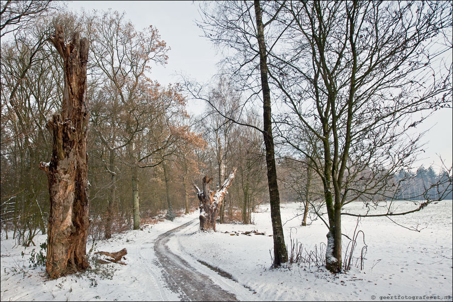 hoog oorsprong