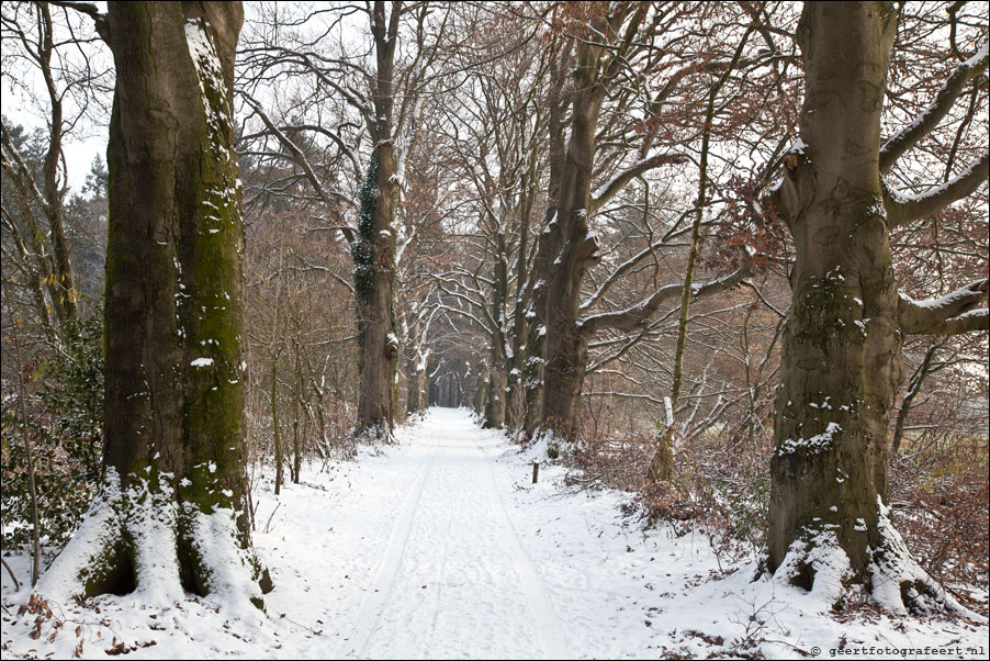 hoog oorsprong