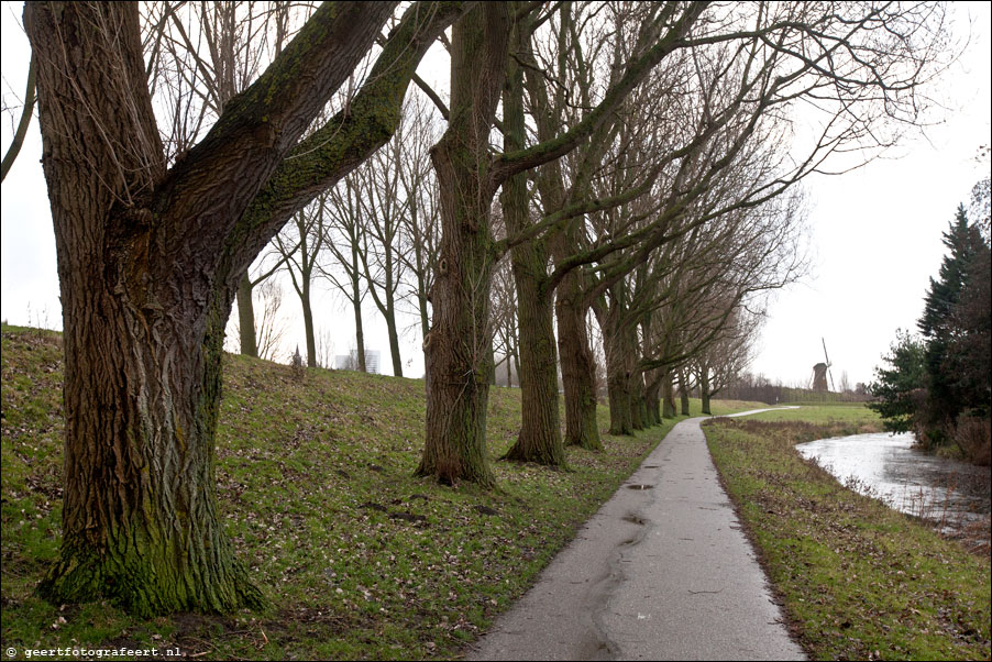 geniedijk
