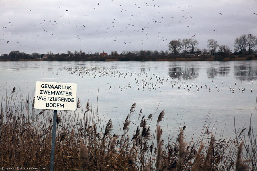 molenwijkplas