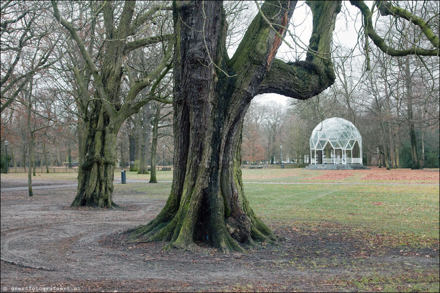 haarlemmerhout
