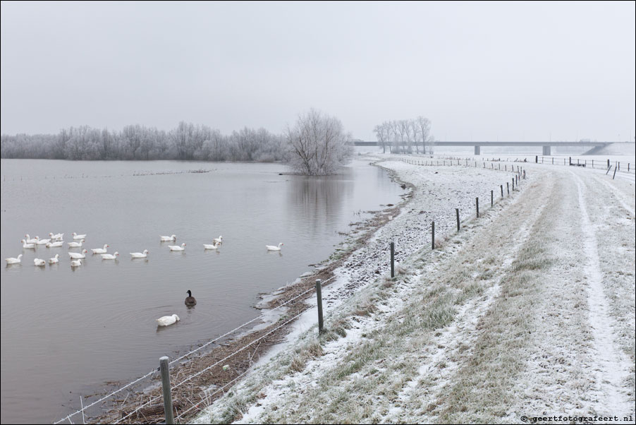 ijseloever