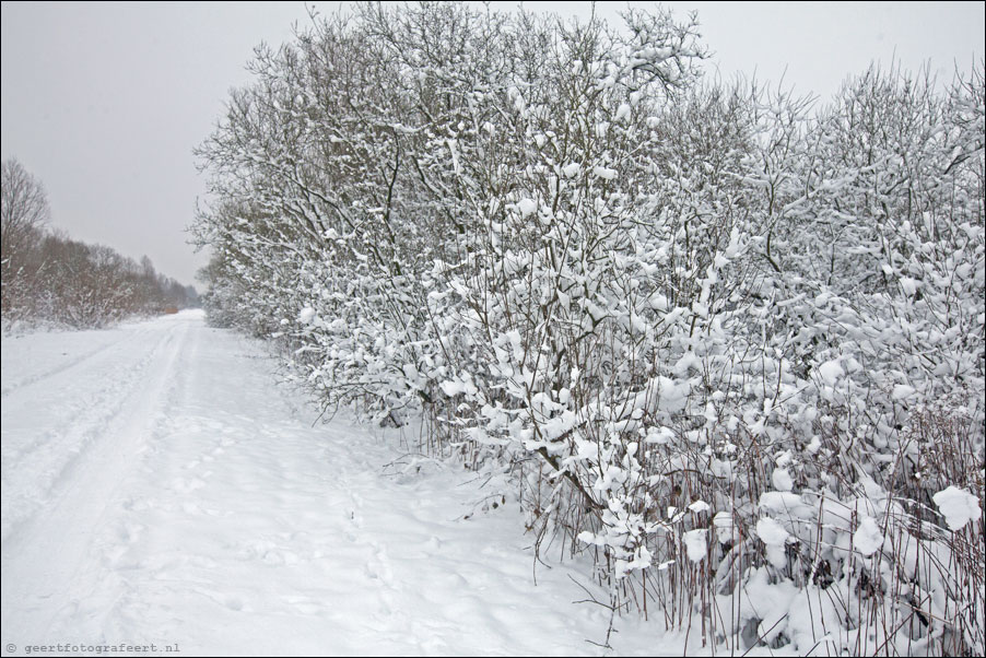 spaarnewoude
