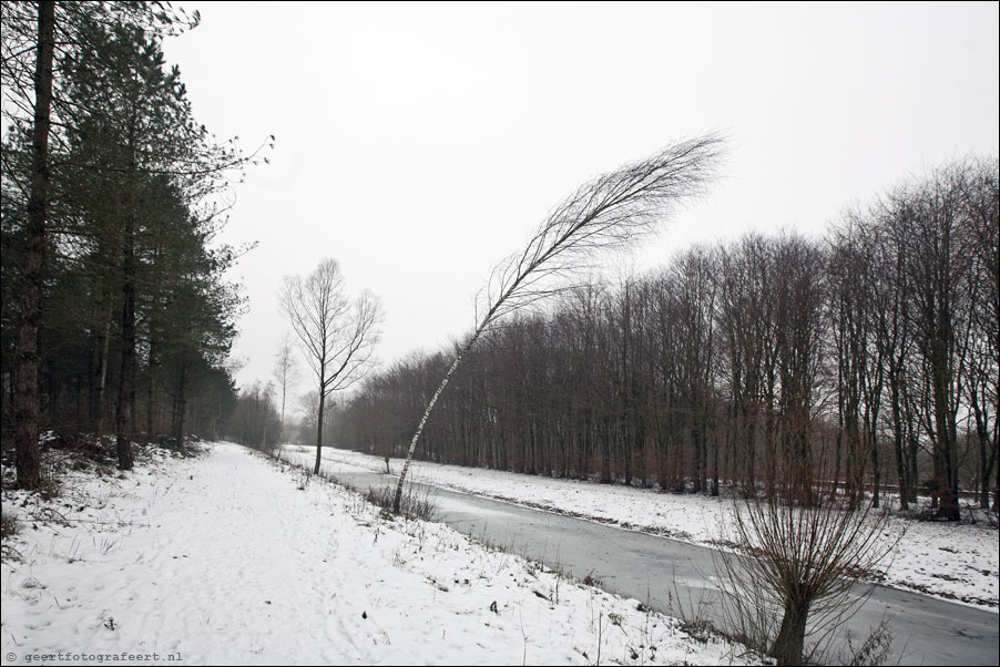 horsterwold