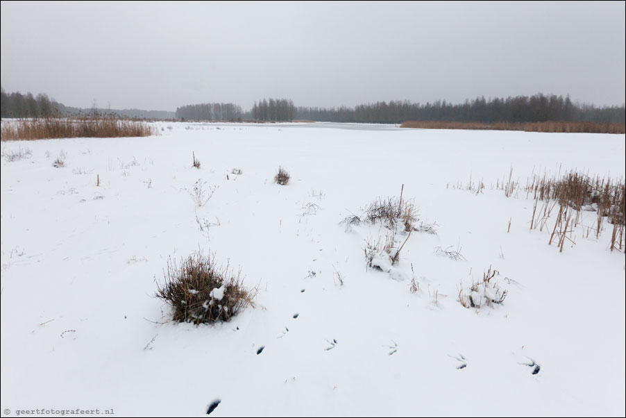 stille kern