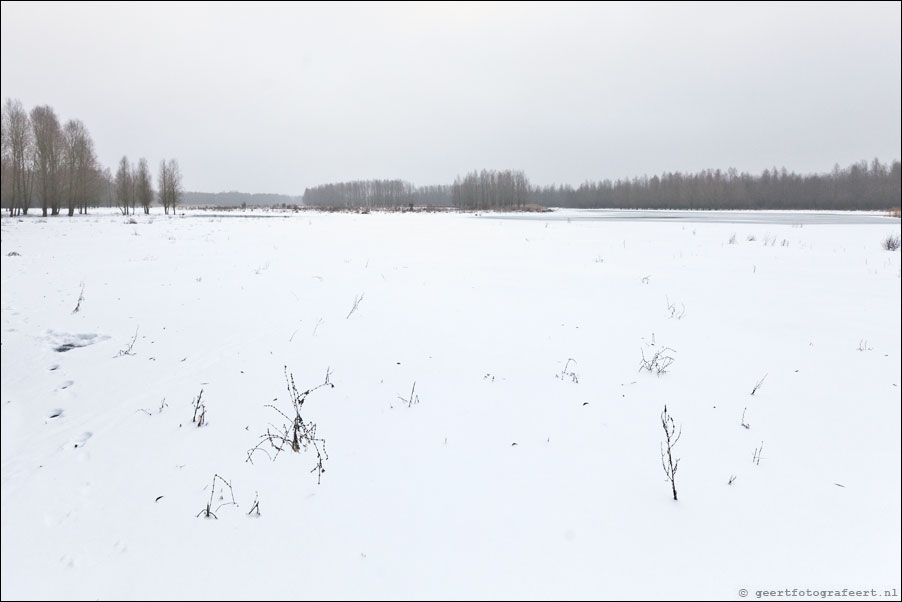 stille kern