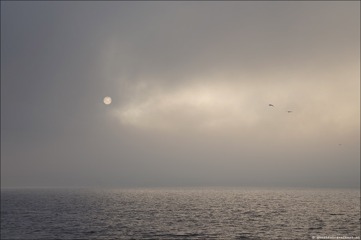 gooimeer