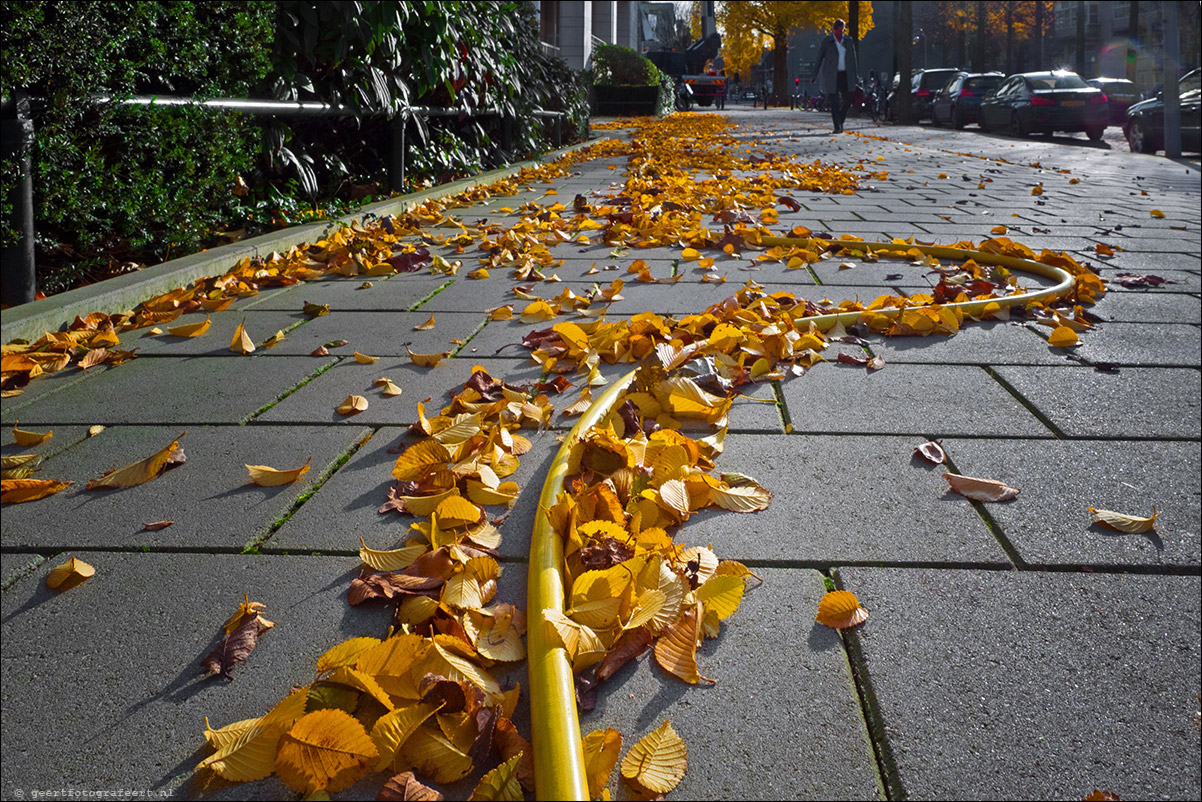 op naar het licht - advent