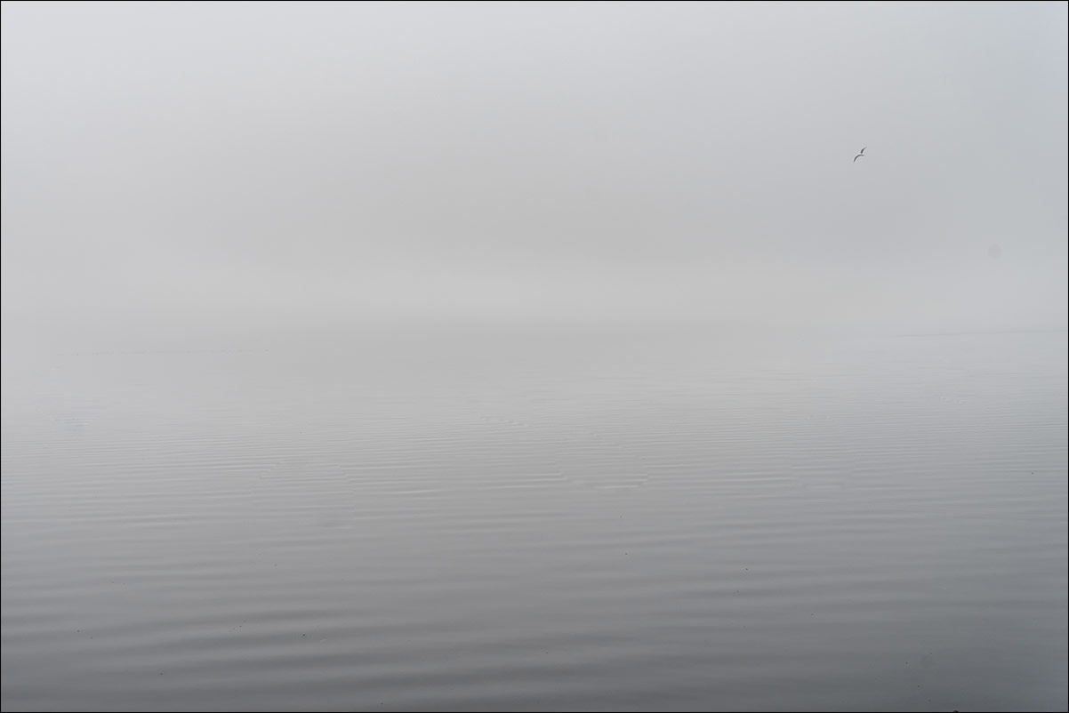 Gooimeer