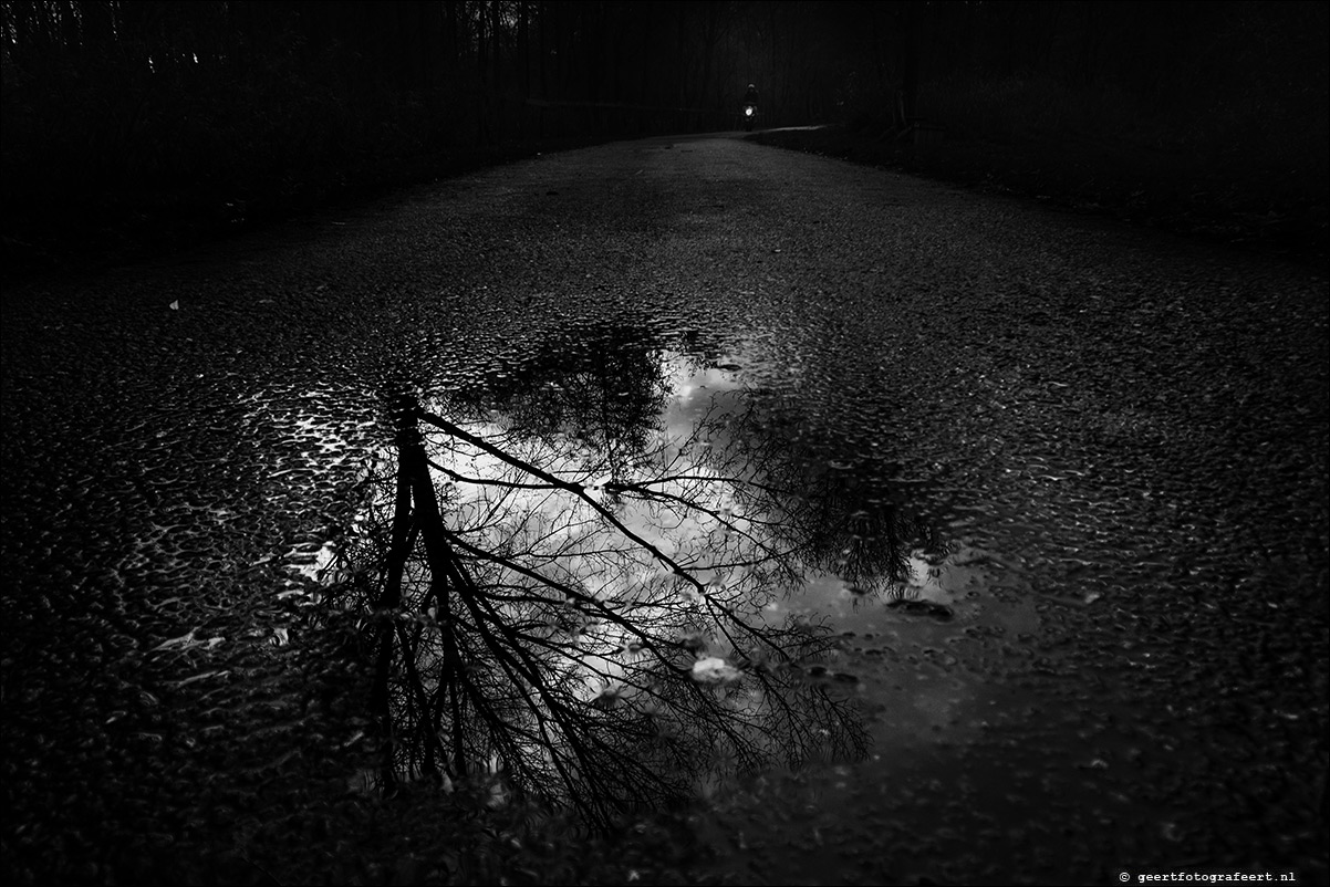 december2018 licht