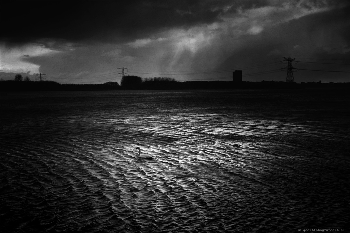 december2018 licht