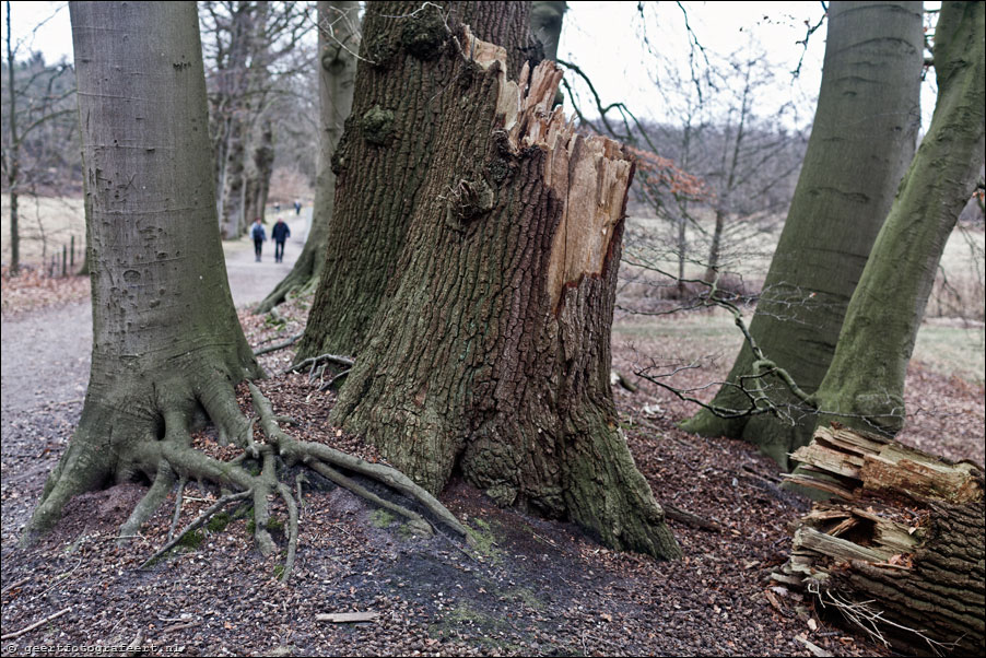 Schaepenburgh