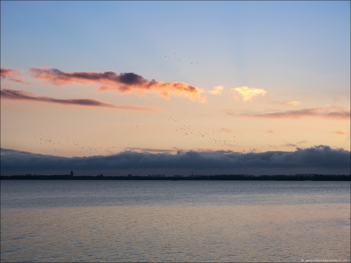 gooimeer
