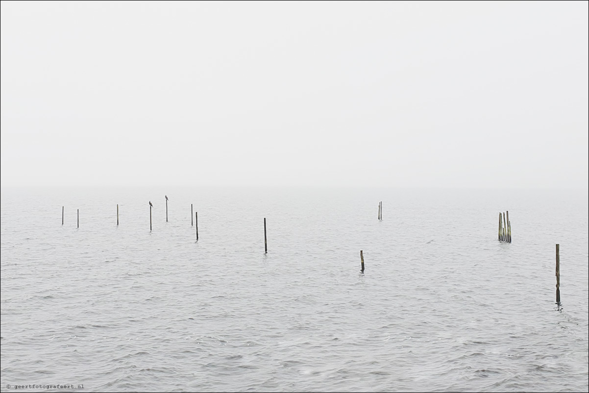 Gooimeer