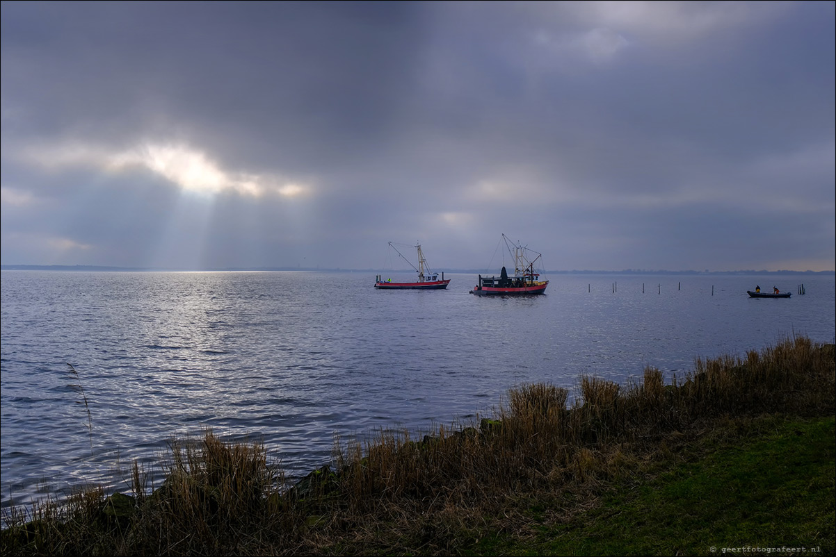 Gooimeer
