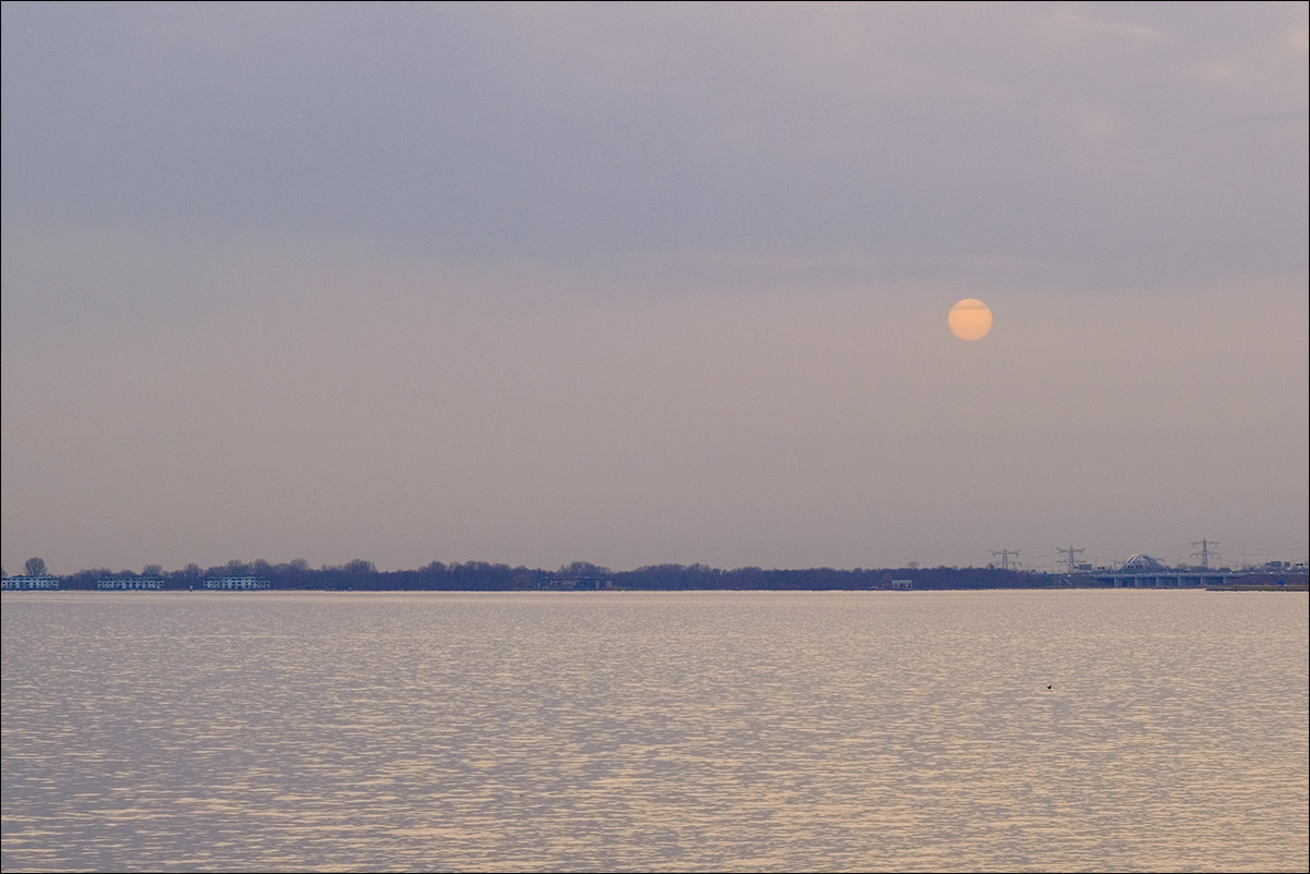 Gooimeer